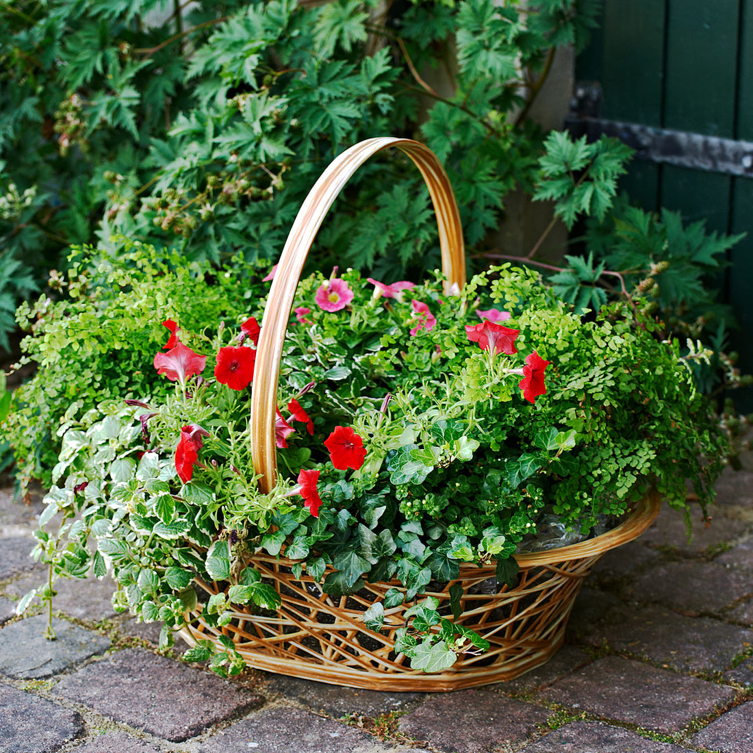 Blumenkorb